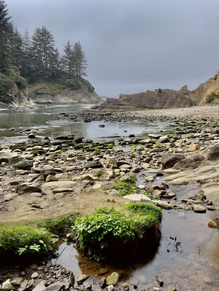 Shore Acres and Sunset Bay State Park