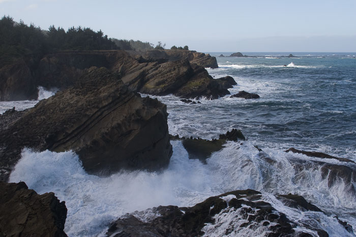 Shore Acres and Sunset Bay State Park