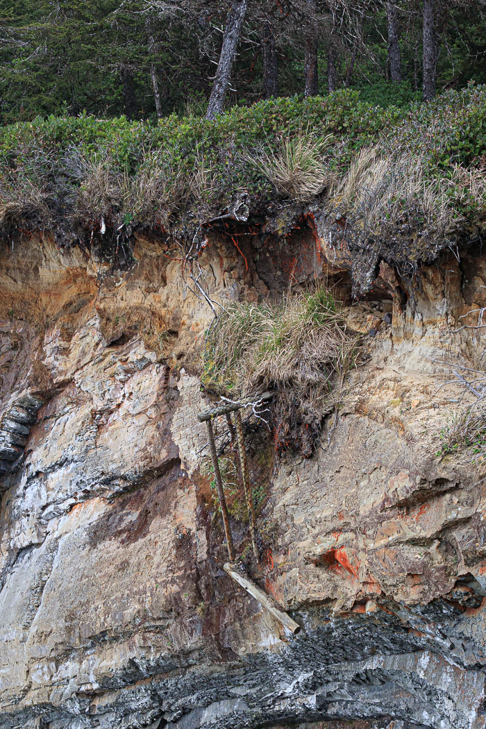 Shore Acres and Sunset Bay State Park