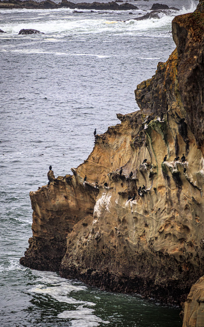 Shore Acres and Sunset Bay State Park