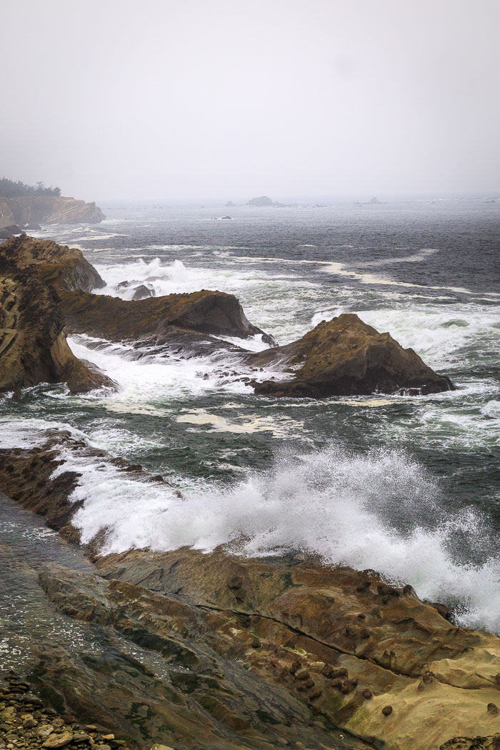 Shore Acres and Sunset Bay State Park