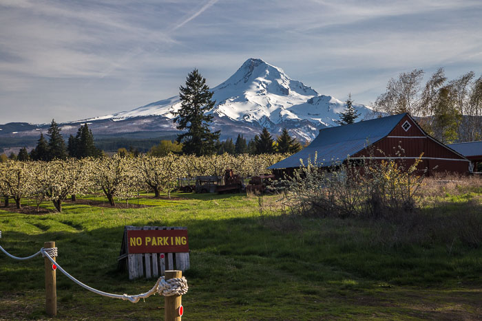 Hood River Valley Blossoms Hood River Valley Blossoms