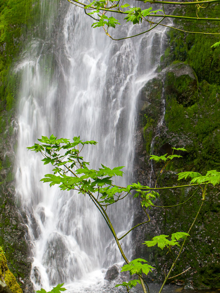 Columbia Gorge Falls Area