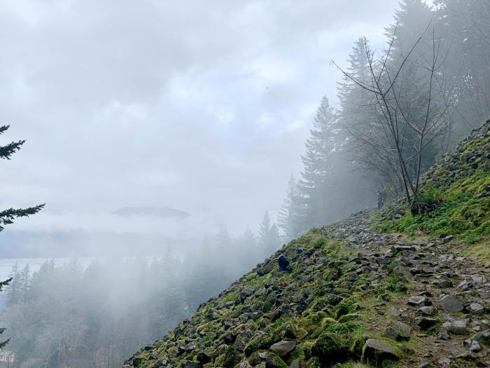 Columbia Gorge Falls Area