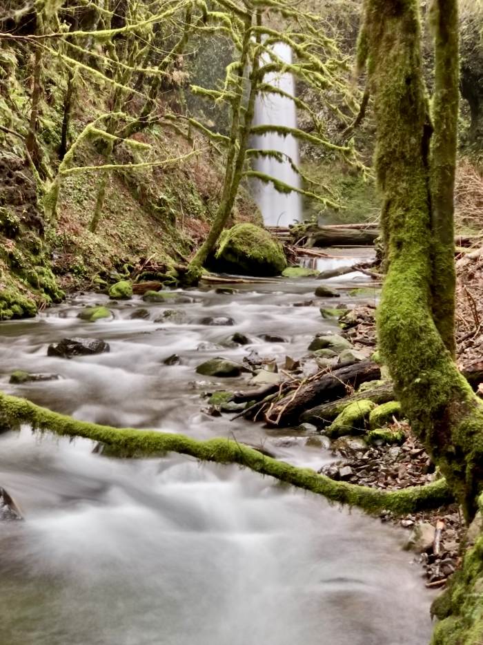 Columbia Gorge Falls Area