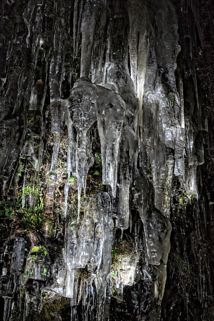 Chasing Ice