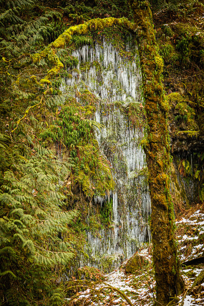 Chasing Ice