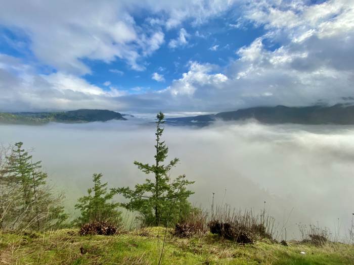 Hamilton Mountain Trail