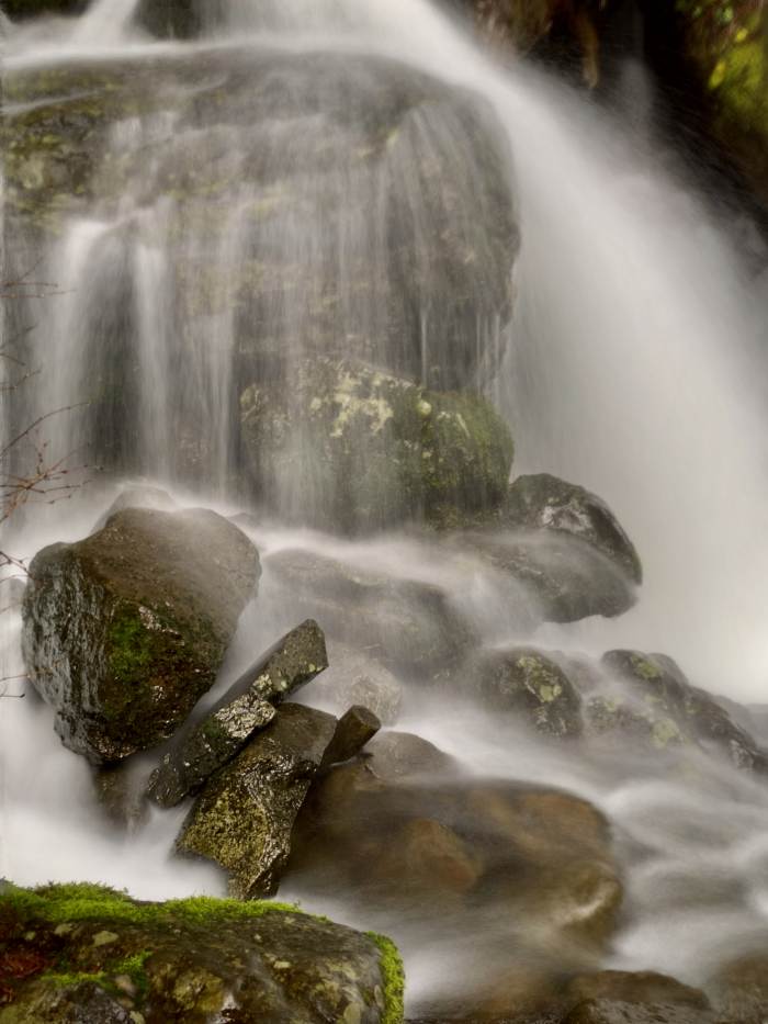 Hamilton Mountain Trail