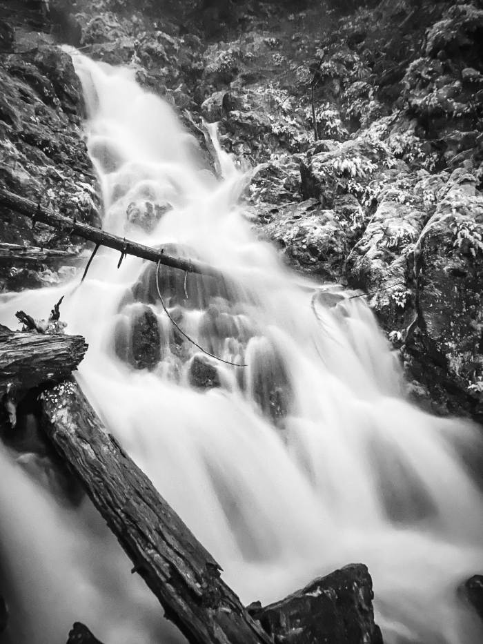 Hamilton Mountain Trail