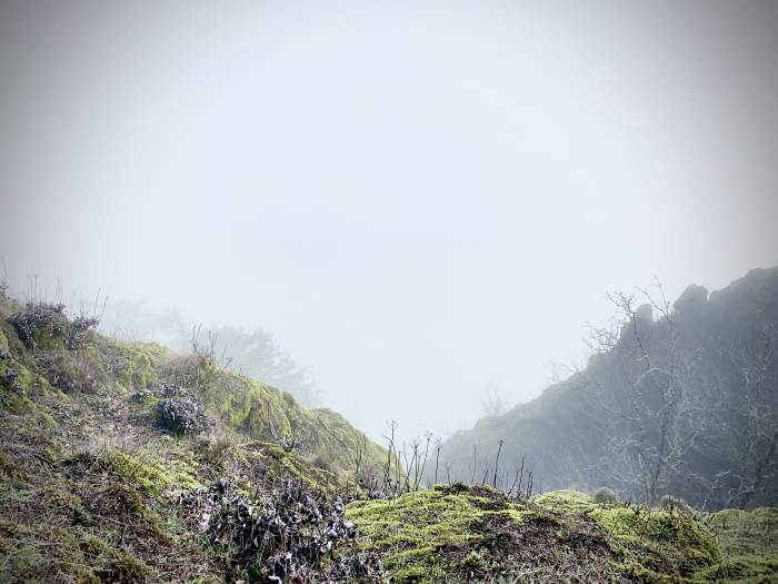 Hamilton Mountain Trail