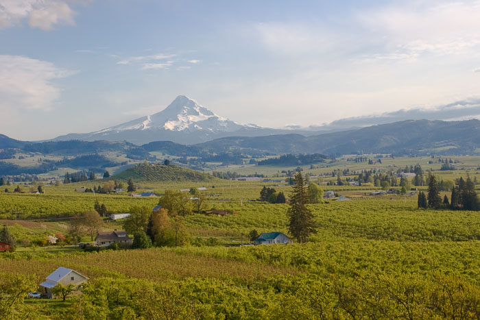 Hood River Valley