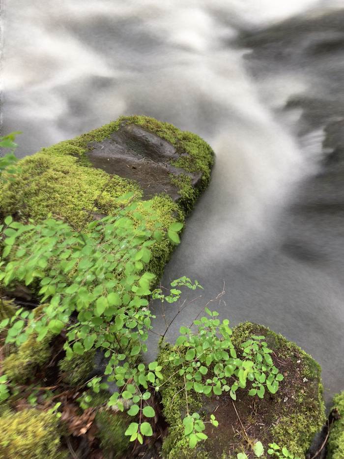 Lacamas Lake Regional Park