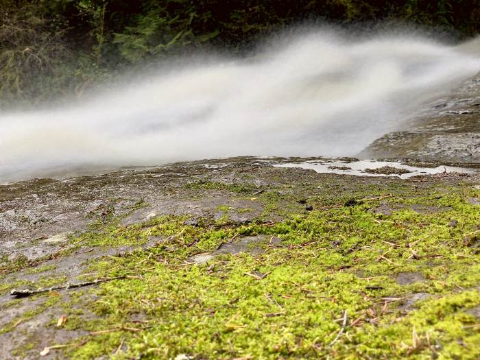 Lacamas Lake Regional Park