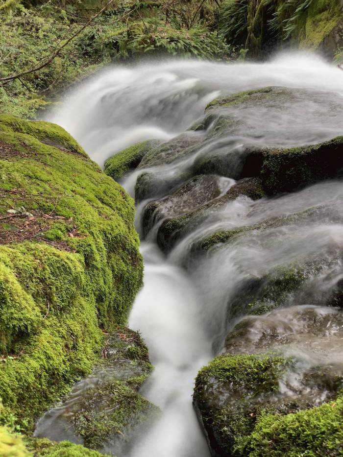 Lacamas Lake Regional Park