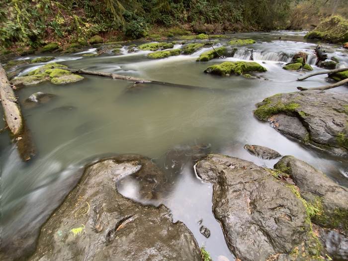 Lacamas Lake Regional Park
