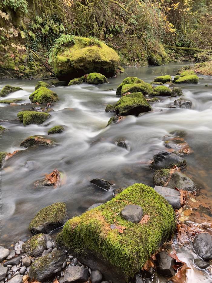 Lacamas Lake Regional Park