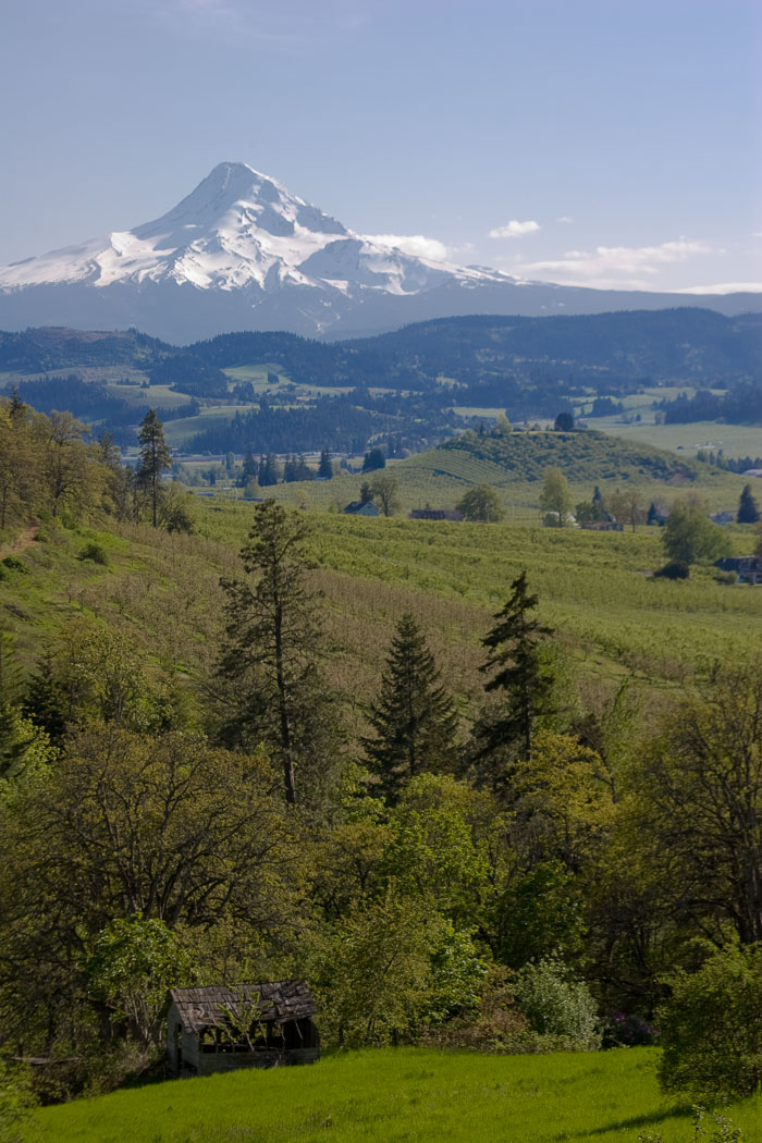 Columbia River Gorge Area