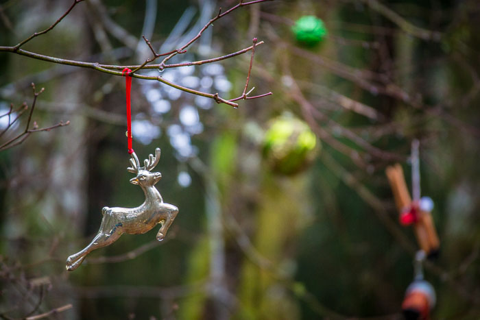 Larch Mountain trail and Christmas Trail