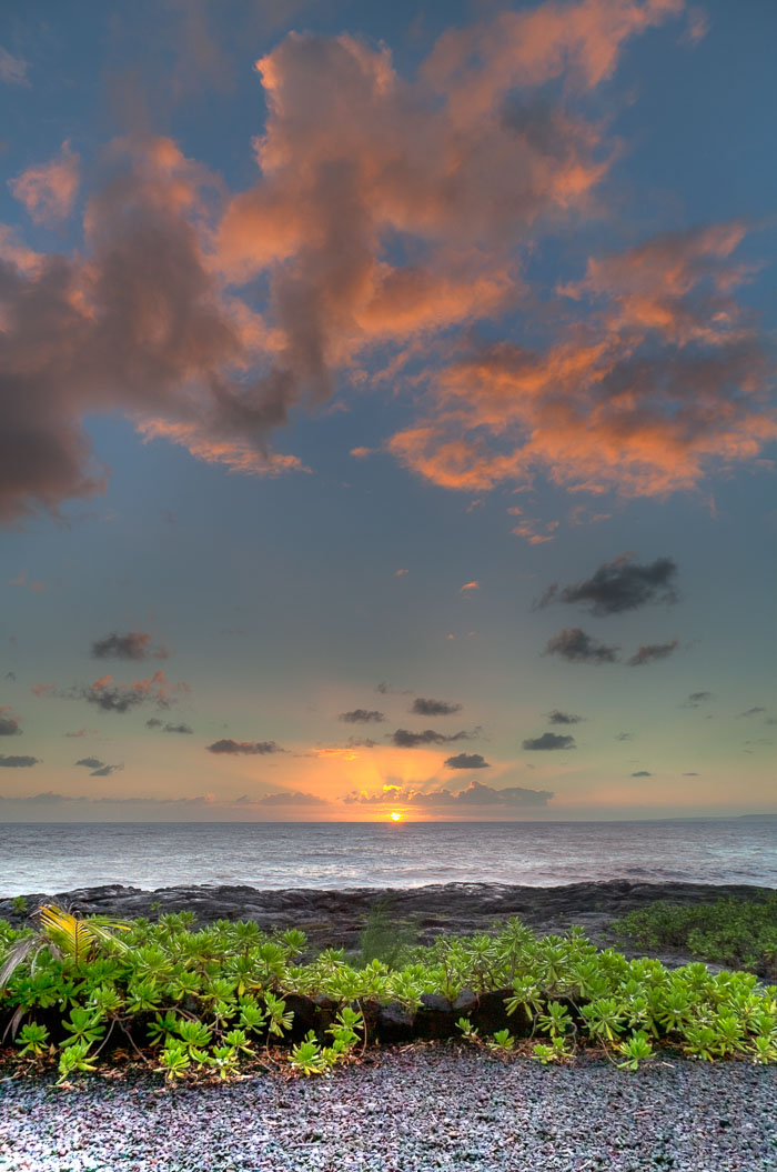 Hale O'kealohs House
