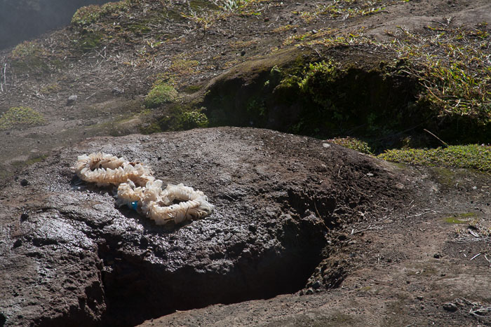 Hawaii Volcanos National Park