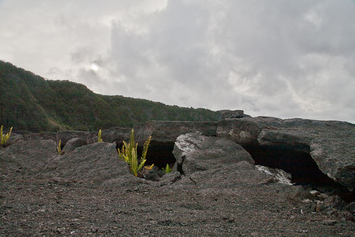 Hawaii Volcanos National Park