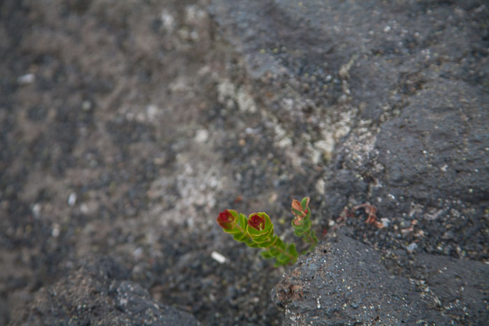 Hawaii Volcanos National Park