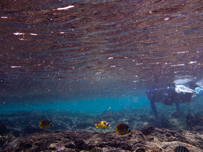Waiopae Kapoho tide pools