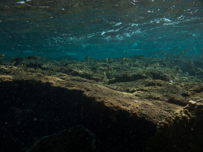 Waiopae Kapoho tide pools