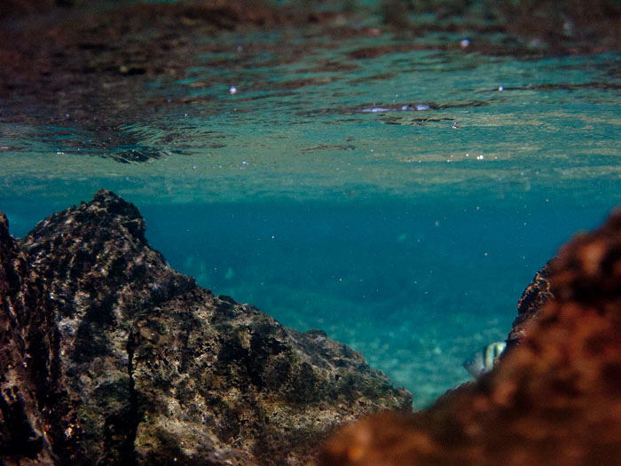 Waiopae Kapoho tide pools Waiopae Kapoho tide pools
