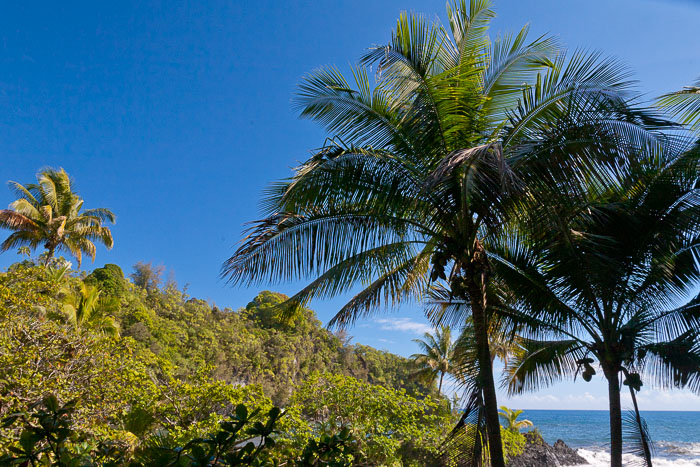 North Kohala, Hāmākua,Hāmākua, North Hilo Districts