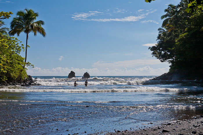 North Kohala, Hāmākua,Hāmākua, North Hilo Districts