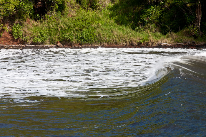 North Kohala, Hāmākua,Hāmākua, North Hilo Districts