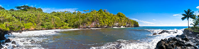North Kohala, Hāmākua,Hāmākua, North Hilo Districts North Kohala, Hāmākua,Hāmākua, North Hilo Districts