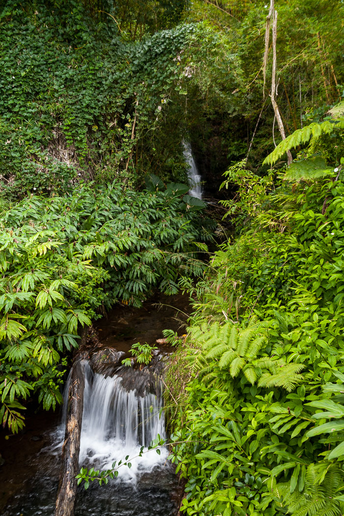 North Kohala, Hāmākua,Hāmākua, North Hilo Districts