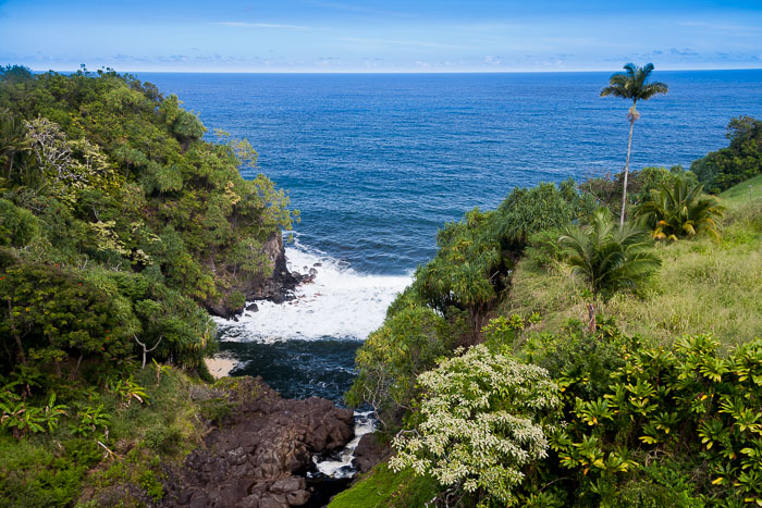 North Kohala, Hāmākua,Hāmākua, North Hilo Districts