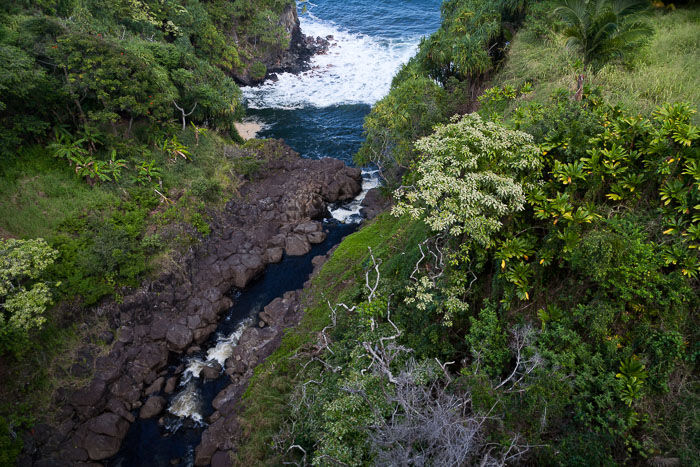 North Kohala, Hāmākua,Hāmākua, North Hilo Districts