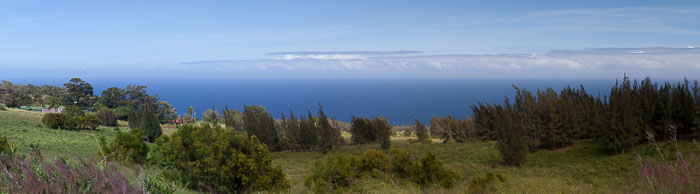 North Kohala, Hāmākua,Hāmākua, North Hilo Districts