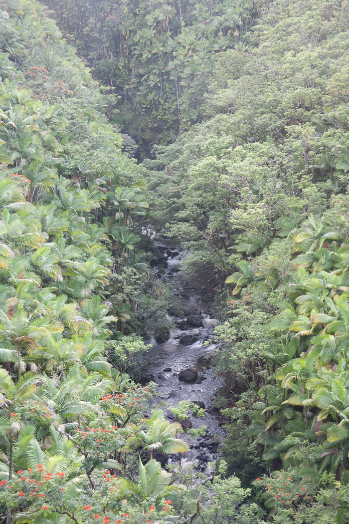 North Kohala, Hāmākua,Hāmākua, North Hilo Districts North Kohala, Hāmākua,Hāmākua, North Hilo Districts