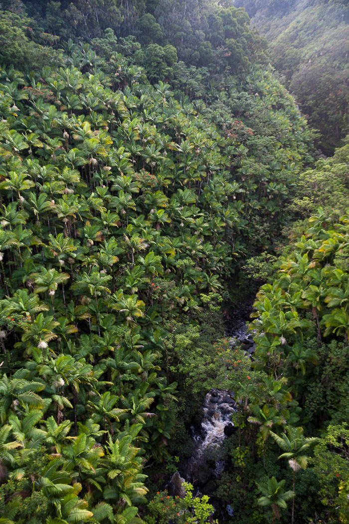 North Kohala, Hāmākua,Hāmākua, North Hilo Districts