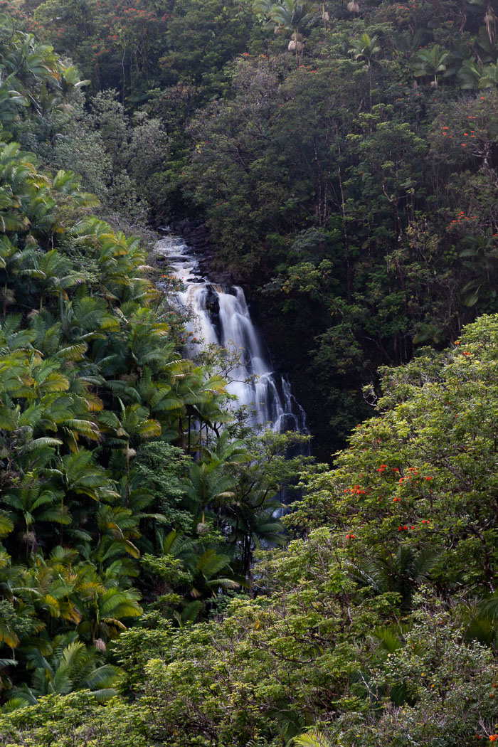 North Kohala, Hāmākua,Hāmākua, North Hilo Districts