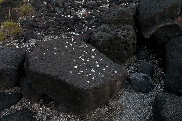 Puʻuhonua o Hōnaunau