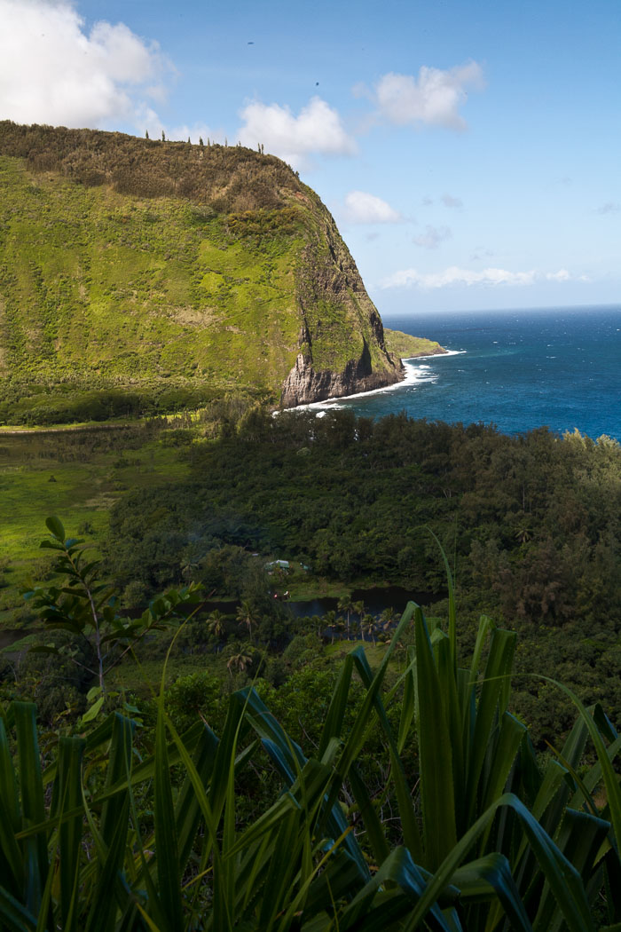Waipi'o Valley