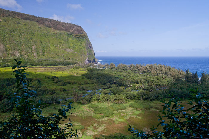 Waipi'o Valley