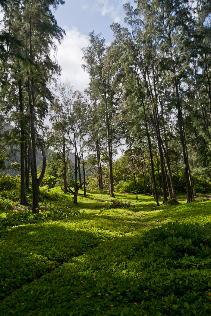 Waipi'o Valley