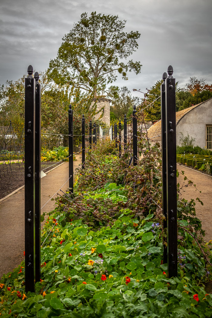 National Botanic Gardens