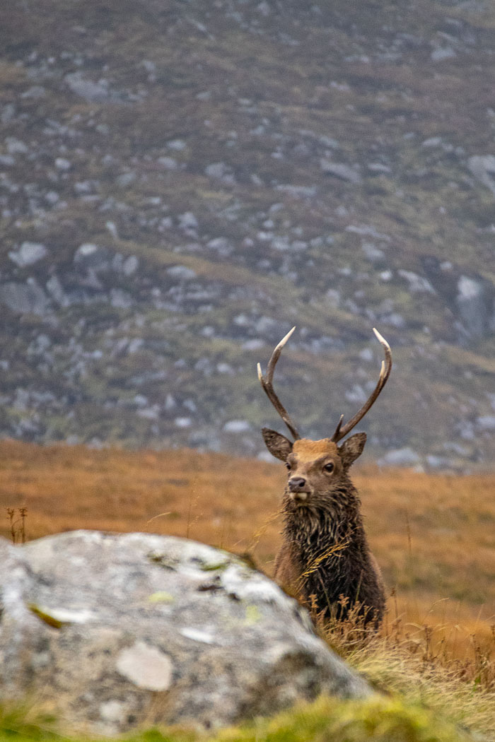 Glendalough
