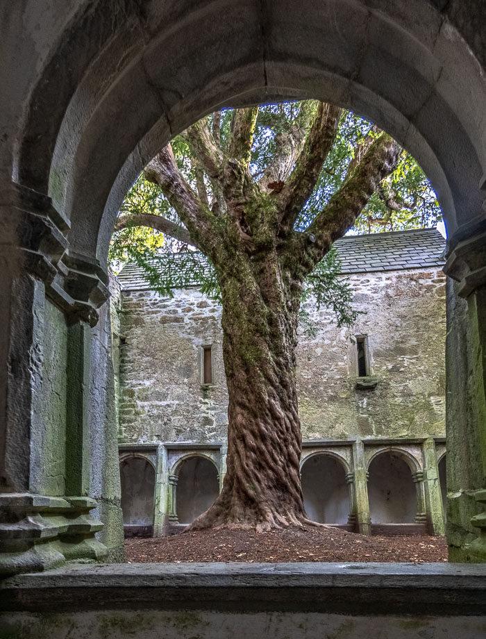 Muckross Peninsula