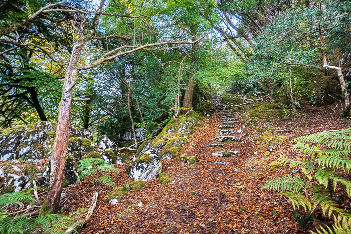 Muckross Peninsula