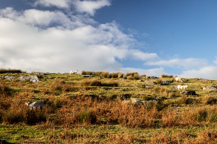 Ring of Kerry